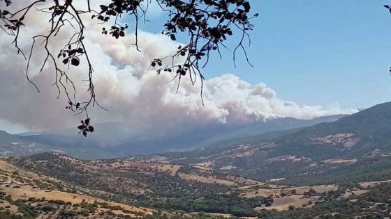 حريق مُهول يأتي على غابة “مغراوة” بإقليم تازة