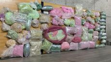 الدار البيضاء .. إجهاض محاولة تهريب وترويج أزيد من 62 ألف من المؤثرات العقلية