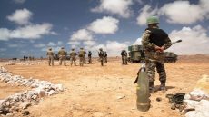 الأسد الافريقي في دورة 2024.. اجراء أول تمرين بمركز العمليات بالقيادة الجنوبية بأكادير