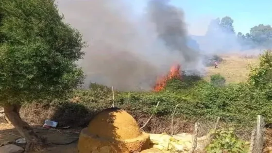 حريق يستنفر الوقاية المدنية في حقل بمدشر الجديد بأصيلة