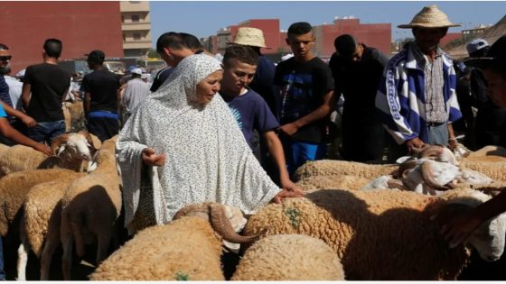 تأثير الجفاف على قطاع المواشي وأسعار الأضاحي في المغرب