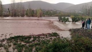 نشرة انذارية: أمطار رعدية ورياح قوية في العديد من المناطق