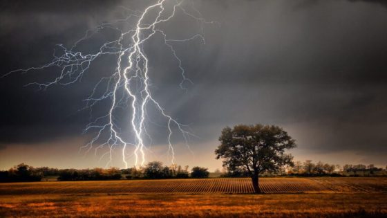 Lightning over field