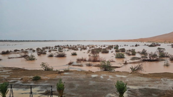 القناة الفرنسية “سينيوز” تنبهر بالمشاهد المذهلة لكثبان الصحراء المغربية بعد أمطار شتنبر