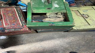 حجز مجموعة من الحيوانات البرية والزواحف كانت موجهة للبيع بشكل غير مشروع في كل من الناظور ومراكش