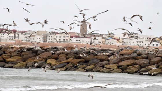 توقعات طقس اليوم الثلاثاء بالمغرب