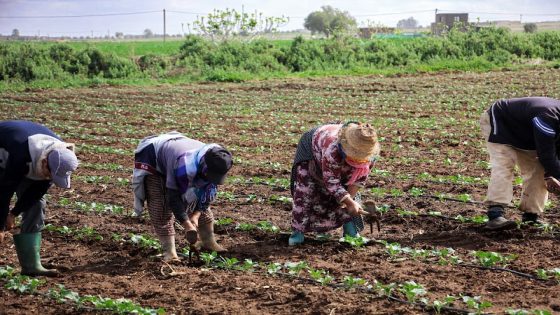 التساقطات المطرية تنعش آمال الفلاحين ومربي الماشية