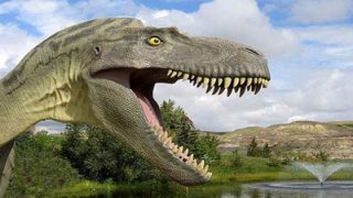 فرنسا تصادر أسنان ديناصورات مستخرجة من المغرب