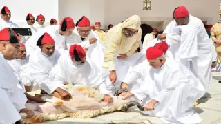 أمير المؤمنين يدعو المغاربة إلى عدم إقامة شعيرة ذبح أضحية العيد هذا العام