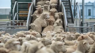 Scandal des 13 milliards de centimes : Où est passé l’argent du peuple ?