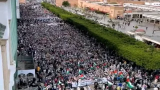 مسيرة حاشدة في الرباط دعمًا لفلسطين