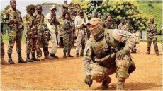 تحالف ناري على حدود الجزائر: جيوش مالي وبوركينا فاسو والنيجر تعلن الحرب على الإرهاب