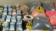 طنجة: تفكيك شبكة متخصصة في ترويج الأقراص المهلوسة