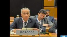 حموشي يمثل المغرب في اجتماع أمني دولي بفيينا لتعزيز التعاون في مكافحة الإرهاب