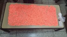 توقيف شخص بحوزته 4400 قرص “إكستازي” وكمية من الكوكايين في الدار البيضاء