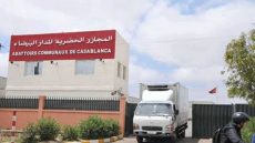 الدار البيضاء للخدمات تؤكد استمرار نشاط المجازر الحضرية خلال عيد الأضحى