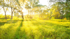 طقس الثلاثاء: أجواء حارة وأمطار خفيفة في بعض مناطق المملكة