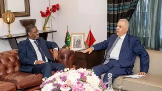 لفتيت يستقبل الوزير المنتدب لدى وزير الداخلية الموريتاني المكلف باللامركزية والتنمية المحلية