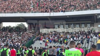 سقوط مشجعين من المدرجات يفسد احتفالات مولودية الجزائر بلقب الدوري