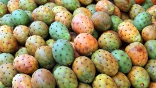 عودة الهندية… ولكن بثمن مضاعف