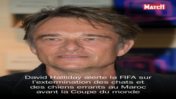 David Hallyday interpelle la FIFA sur les massacres de chiens errants au Maroc