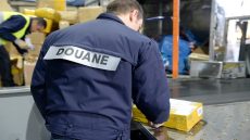 Les douanes françaises frappent fort : saisies record d’argent liquide en 2025