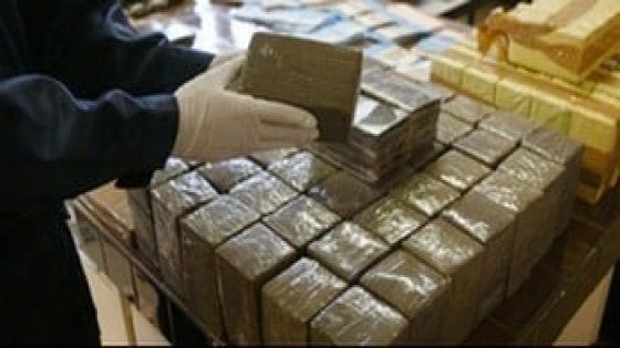 فرنسا تفكك شبكة فرنسية-مغربية لتهريب الحشيش وتعتقل 12 شخصاً بينهم مربيات أطفال