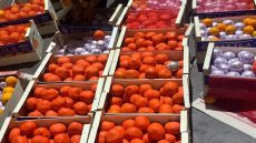 طنجة .. إجهاض محاولة تهريب أربعة أطنان و374 كيلوغراما من مخدر الشيرا