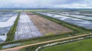 20 في المائة من الأراضي الرطبة في العالم قد تختفي بحلول 2050