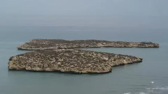 إسبانيا تزيل علمها من جزيرتي “البر” و”البحر” قرب الحسيمة وسط تساؤلات حول الدلالات السياسية