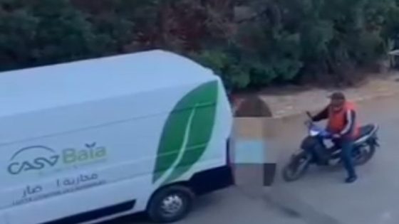 Le massacre des chiens errants par CasaBaya sous les projecteurs : indignation et protestations des internautes