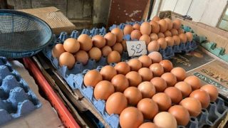 رابطة المستهلكين تدق ناقوس الخطر بشأن احتكار سوق البيض وتدعو لتدخل حكومي عاجل