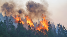 الوكالة الوطنية للمياه والغابات تصدر خارطة المخاطر وتحدد المناطق المهددة باندلاع الحرائق