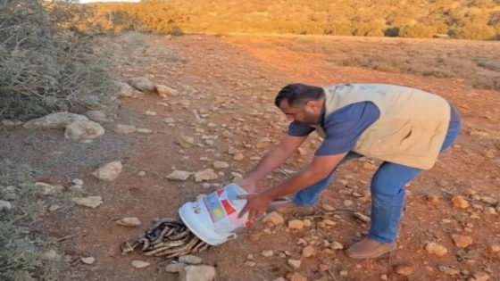 وكالة المياه والغابات تنفي إطلاق أفاعي “كوبرا” في ضواحي مراكش: الفيديو يعود لدولة أجنبية