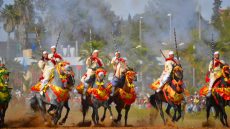 الجديدة.. إسدال الستار على فعاليات موسم مولاي عبد الله أمغار