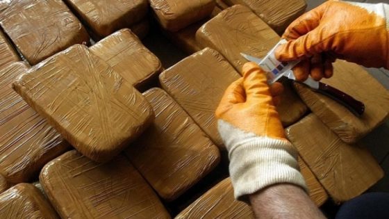 آسفي.. احباط محاولة تهريب وحجز أكثر من 4.7 أطنان من الشيرا