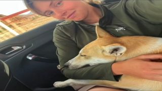 رحلة كلبة ضالة من صحراء زاكورة إلى الديار البريطانية برفقة زوجين بريطانيين