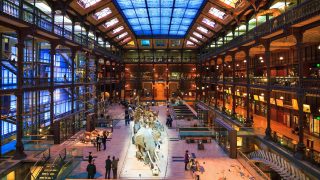 سرقة ذهب تفوق قيمته 700 ألف دولار من متحف في باريس