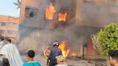 CREATOR: gd-jpeg v1.0 (using IJG JPEG v62), quality = 82