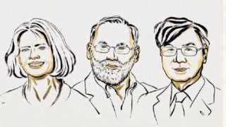 منح جائزة نوبل في الطب لثلاثة علماء عن أبحاثهم في مجال التحكم في الجهاز المناعي