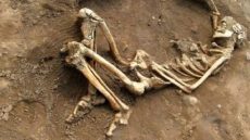 العثور على عظام بشرية يستنفر السلطات بأيت إيمور ضواحي مراكش