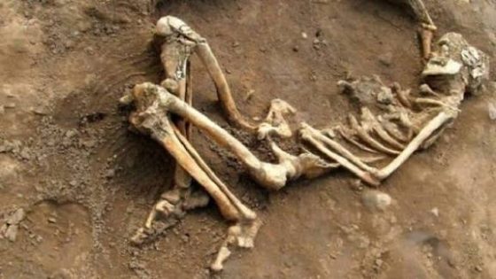 العثور على عظام بشرية يستنفر السلطات بأيت إيمور ضواحي مراكش