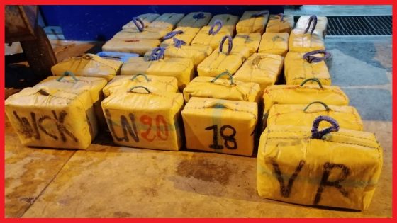 تفكيك ورشتين لتهريب المخدرات بطنجة وحجز نصف طن من الشيرا وتوقيف 6 مشتبه فيهم