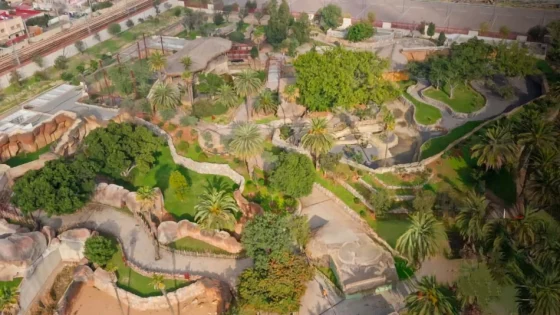 حديقة الحيوانات بعين السبع تفتح أبوابها نهاية دجنبر بعد سنوات من الإغلاق