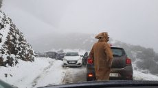 نشرة إنذارية..تساقطات ثلجية وأمطار رعدية مرتقبة اليوم السبت وغدا الأحد