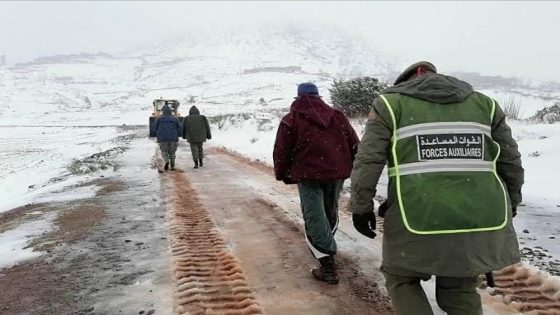 لفتيت: المخطط الوطني للتخفيف من آثار موجة البرد استهداف ساكنة تقدر بحوالي 833 ألف نسمة