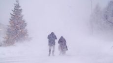 مصرع شخصين جراء عواصف شديدة تضرب دول شمال أوروبا