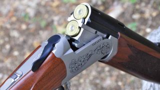 رصاصة طائشة تصيب مواطنًا خلال حملة لقتل الكلاب الضالة بآسفي.. والمنظمة الاجتماعية لحماية الحيوانات تطالب بوقف النزيف