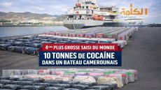 Saisie historique en Espagne : 10 tonnes de cocaïne à bord d’un navire camerounais