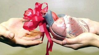 ألمانيا .. عدد المتبرعين بالأعضاء يبلغ أعلى مستوى له سنة 2025